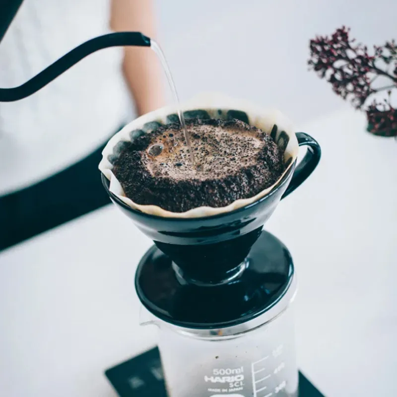 café-orgánico-luca—Dripper-V60-1-4-tazas-Kasuya—HARIO-2_1 café-orgánico-luca—Dripper-V60-1-4-tazas-Kasuya—HARIO-2_1